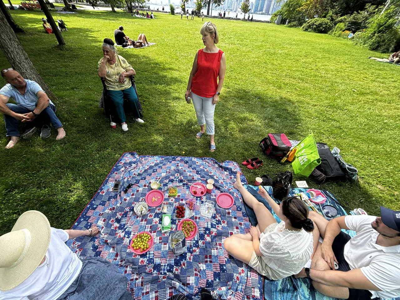 A family picnic on a lakeside lawn, fruit and plates spread over a patchwork blanket, city skyline across the water